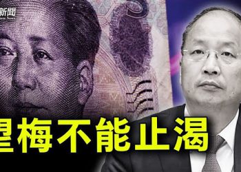【財經熱點】中共急推養老金入市；股市大跌 個人成韭菜；巨大的窟窿 失敗的試點；並非真正意義上的「統籌」｜主播：米米