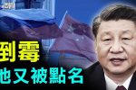 香港希望之聲