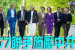 香港希望之聲