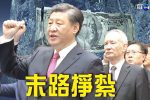 香港希望之聲