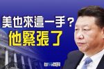 香港希望之聲 香港希望之聲