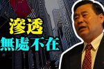 香港希望之聲