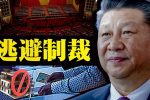 香港希望之聲