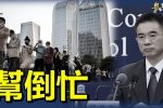香港希望之聲