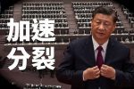 香港希望之聲 香港希望之聲