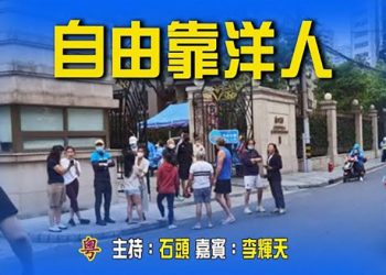 【頭頭是道】暫停組團出國旅遊，國人自由靠洋人幫忙；四方聚首；絕密檔案外洩 ，鐵證如山