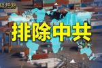 香港希望之聲