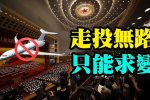 香港希望之聲