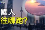 香港希望之聲