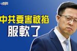 香港希望之聲