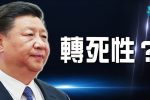 香港希望之聲