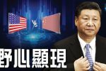 香港希望之聲