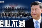 香港希望之聲