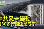 香港希望之聲 香港希望之聲