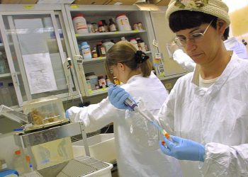 基因實驗造出兇殘動物 驚呆科學家