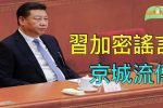 香港希望之聲
