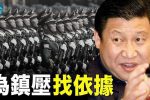 香港希望之聲