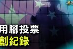 香港希望之聲 香港希望之聲