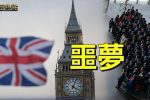 香港希望之聲