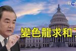 香港希望之聲