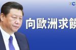 香港希望之聲
