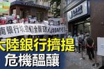 香港希望之聲 香港希望之聲