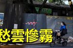 香港希望之聲