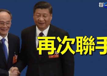 【每日要聞】北京又遇難題?王岐山與習近平再次聯手; 二十大臨近 京津滬書記爭相表忠; 克里姆林宮:烏克蘭投降就停止攻擊｜主播：葉晚風