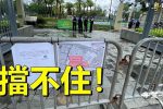 香港希望之聲