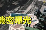 香港希望之聲