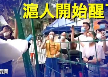 【每日要聞】滬人反抗膽子越來越大；美國斥捏造虛假信息 華春瑩遭挫；禁止「黑名單中企」拜登卻來這一手  ｜主播：鍾嘉慧 