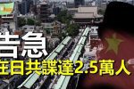 香港希望之聲