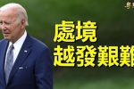 香港希望之聲