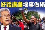 香港希望之聲