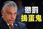 香港希望之聲