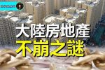 香港希望之聲
