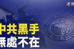 香港希望之聲
