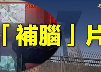 【粵覽新聞】二舅的故事 編的？ 主播：林詩明