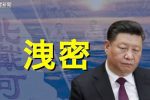 香港希望之聲