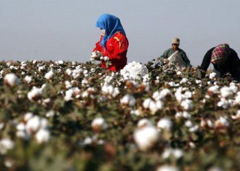 效仿美國 歐盟和加拿大也打算抵制新疆奴工商品