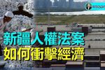 香港希望之聲