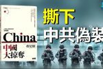 香港希望之聲