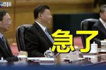 香港希望之聲