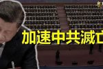香港希望之聲 香港希望之聲