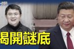 香港希望之聲