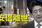 香港希望之聲