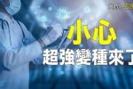 香港希望之聲