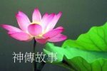 香港希望之聲