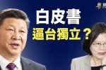 香港希望之聲