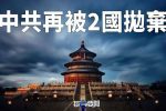 香港希望之聲 香港希望之聲